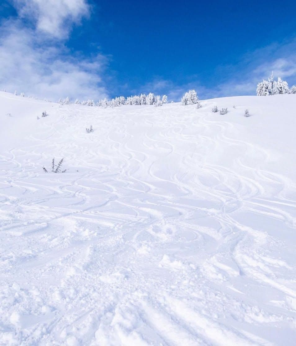 Soldier Mountain Ski Area photo 2