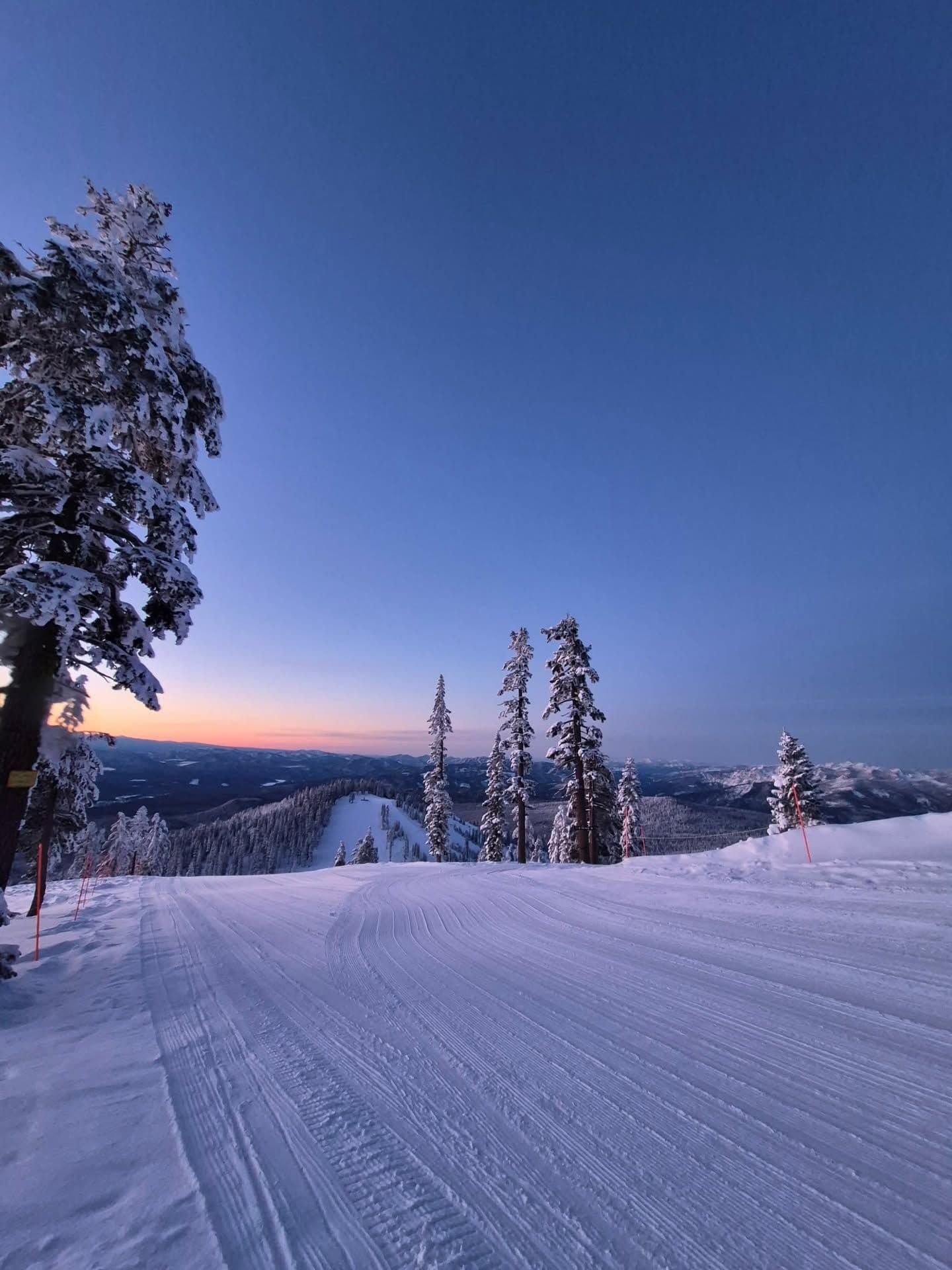 Mt Shasta Ski Park photo 5