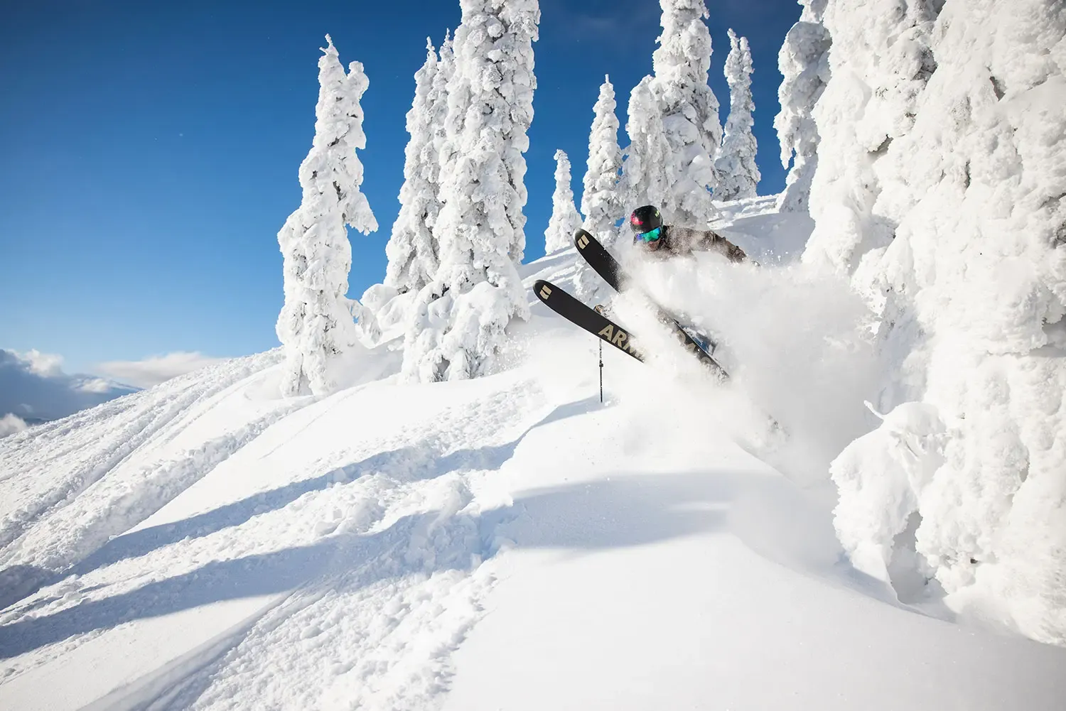 SilverStar photo 10