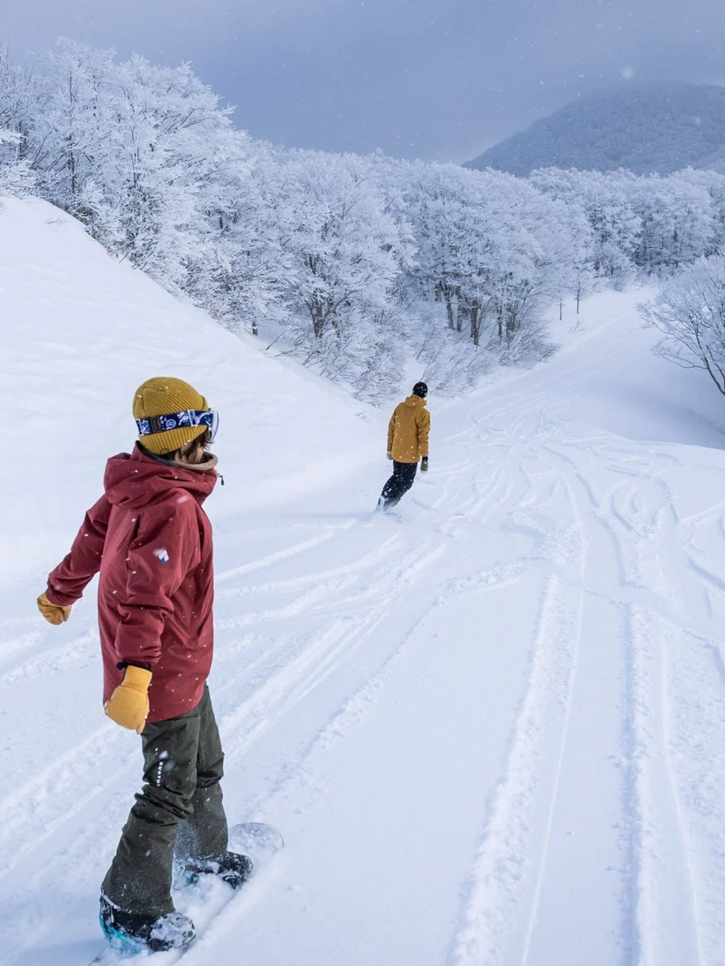 NEKOMA Mountain ski resort - Japan