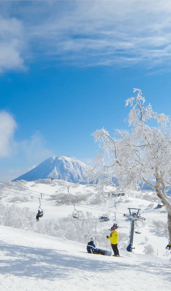Niseko Annupuri photo 8