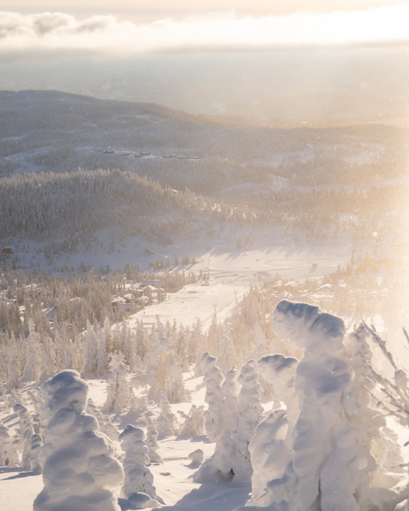 Norefjell photo 6