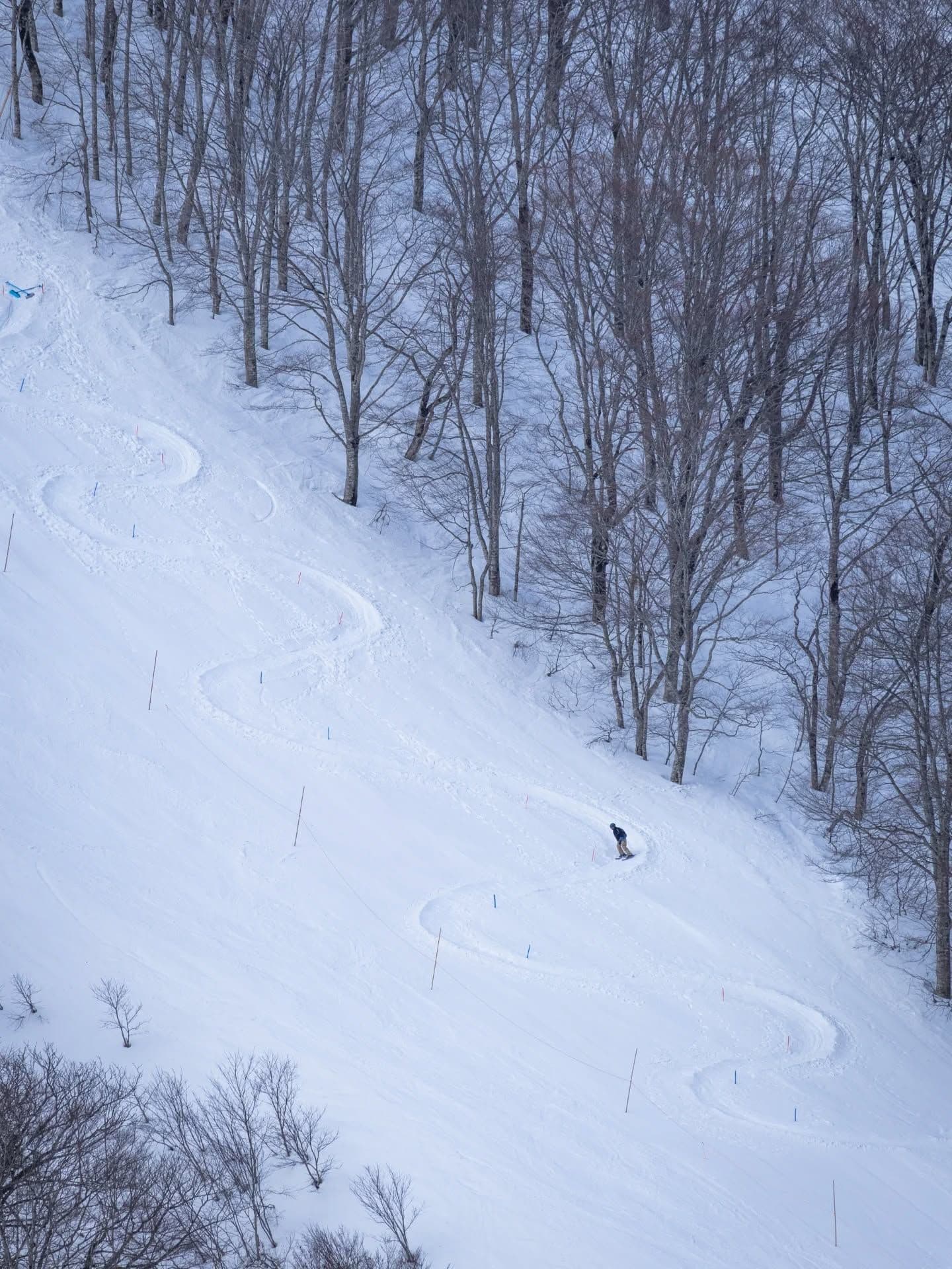 NEKOMA Mountain photo 2