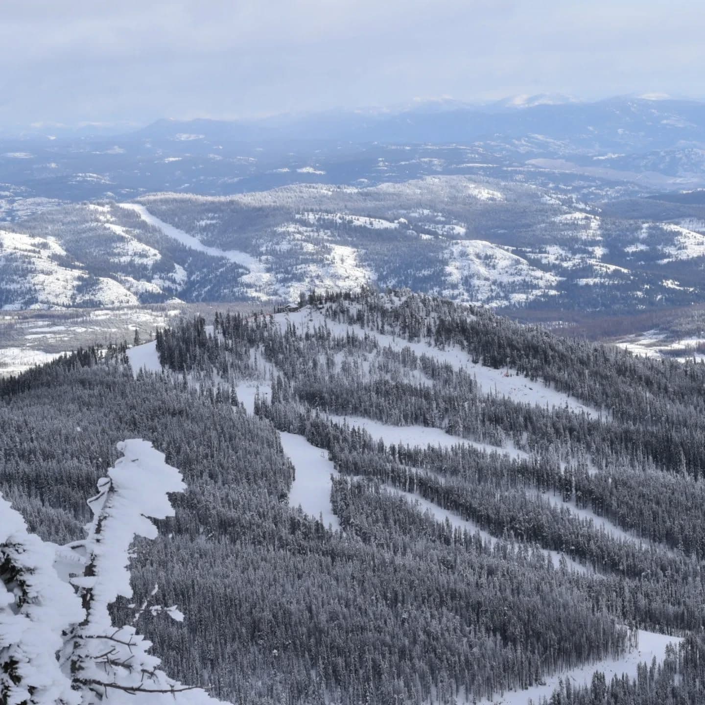 Baldy photo 7