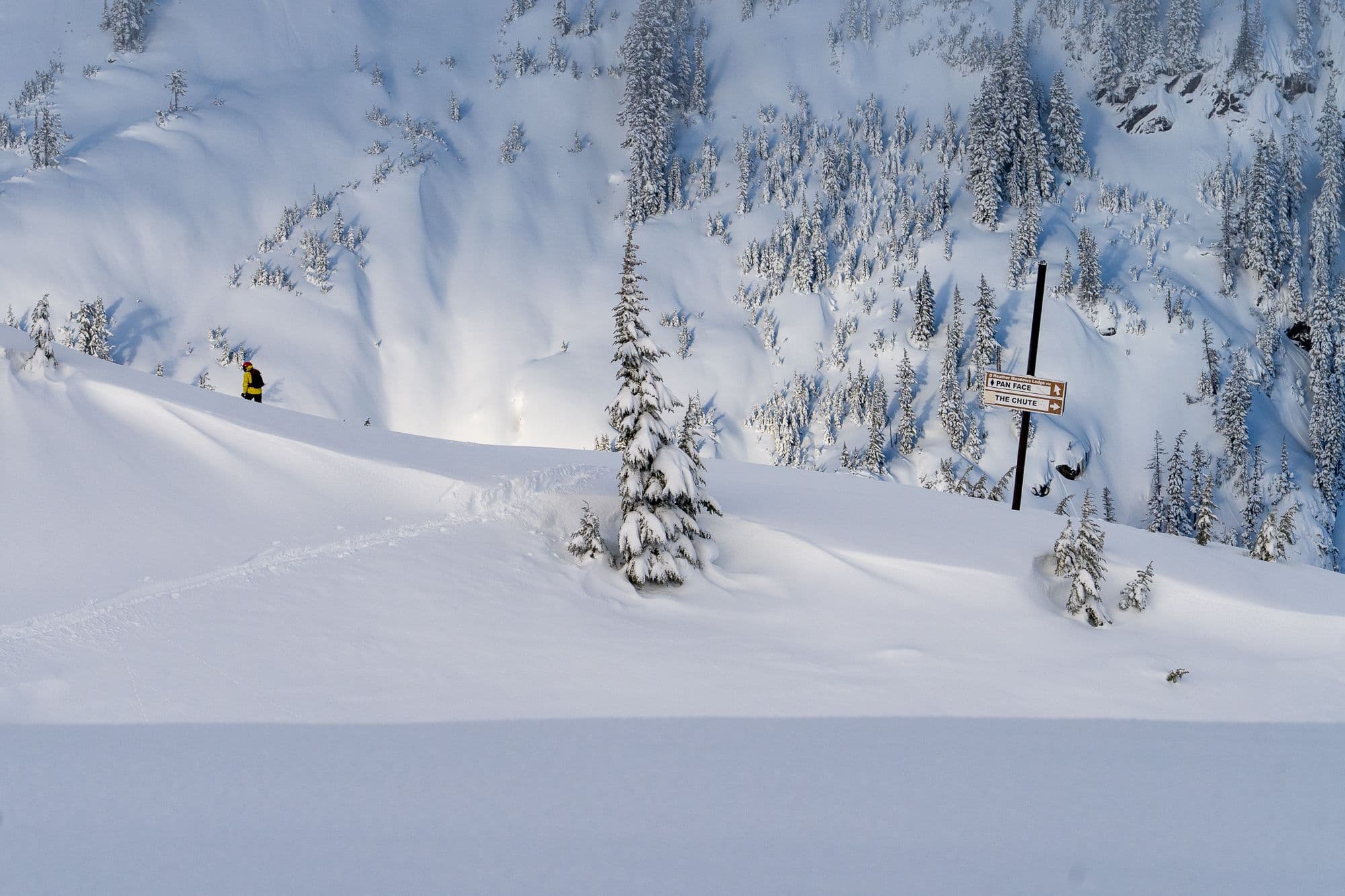 Mt. Baker photo 5