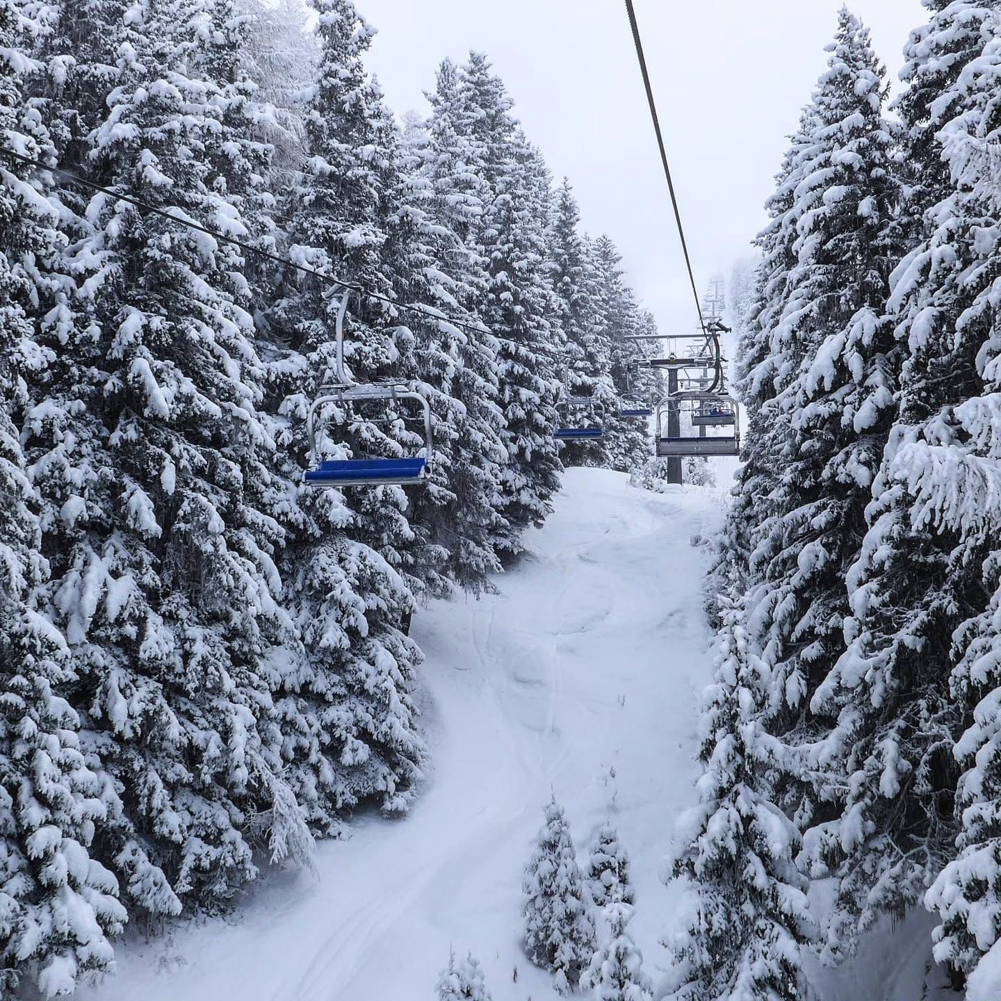 Pila photo 6