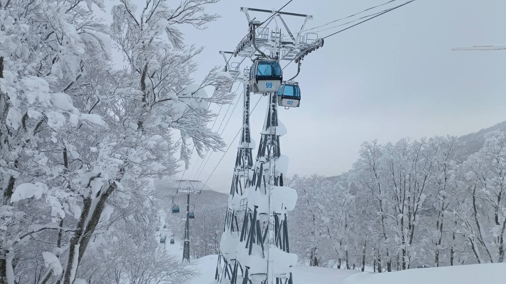 Aomori Spring photo 3