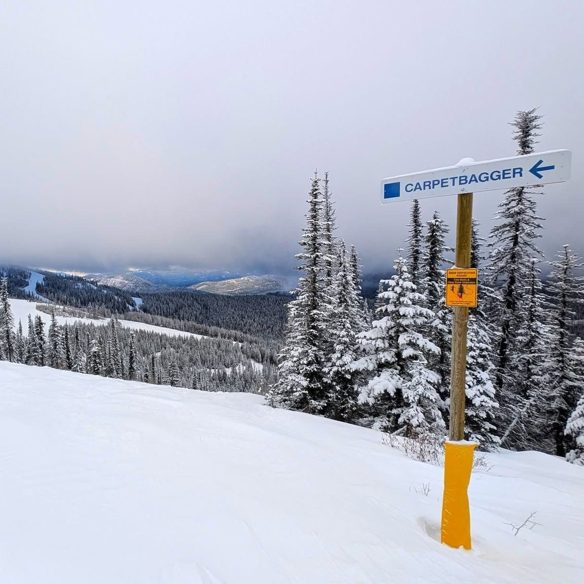 49 Degrees North photo 6
