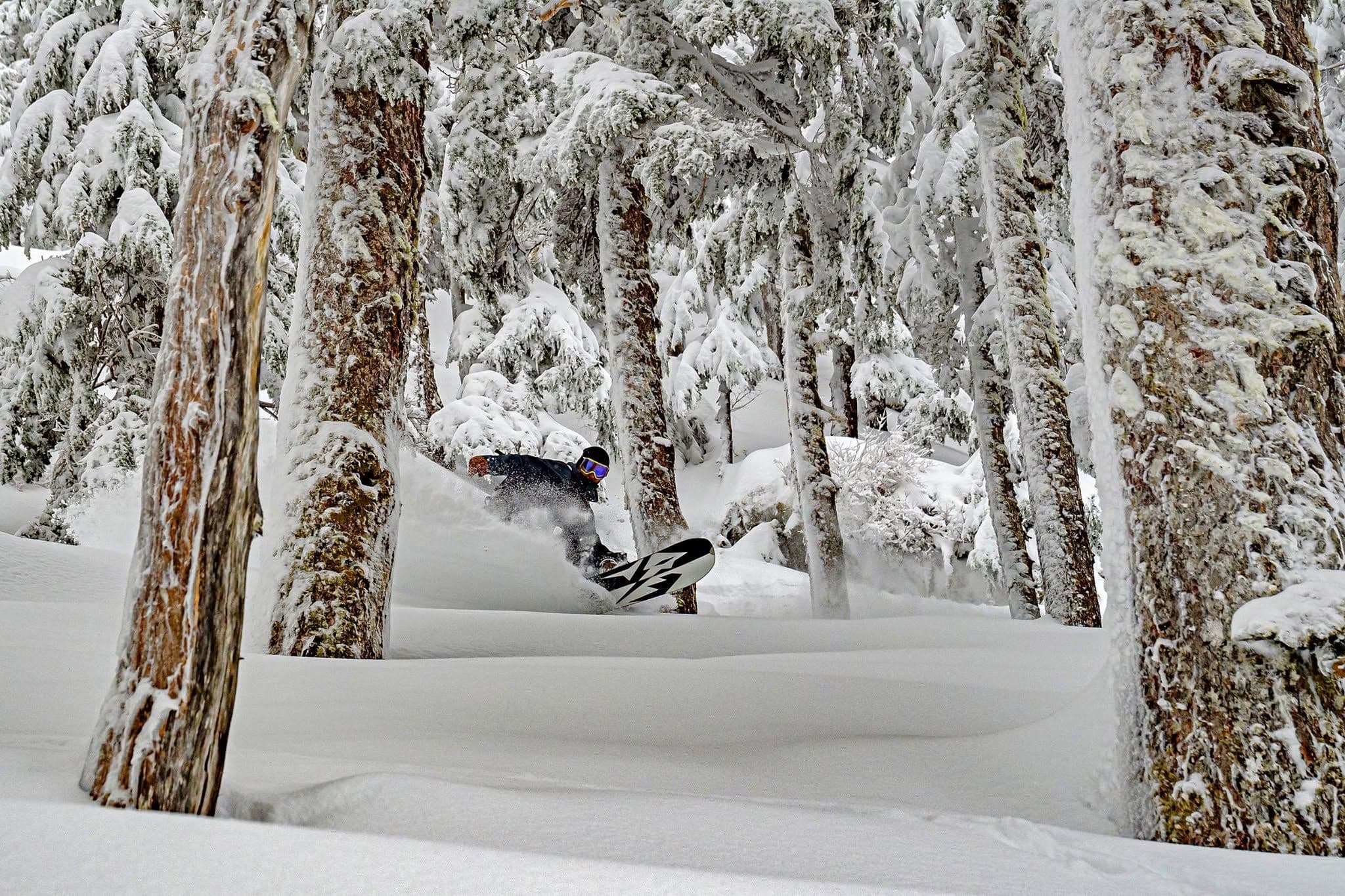 Eaglecrest Ski Area photo 6