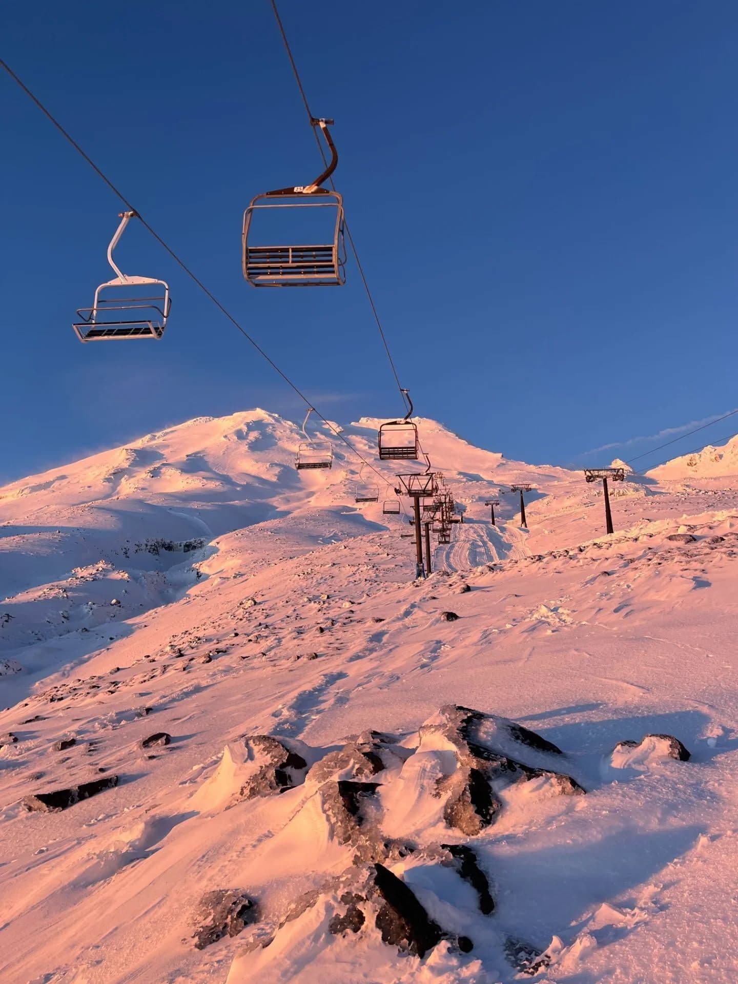 Tūroa photo 8