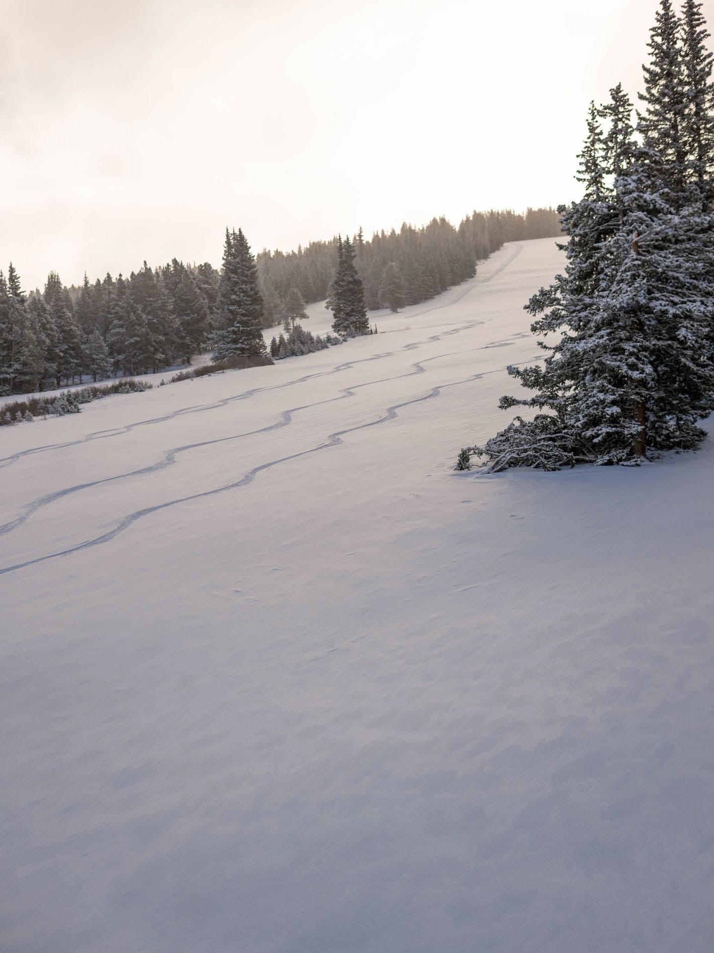 Ski Cooper photo 4