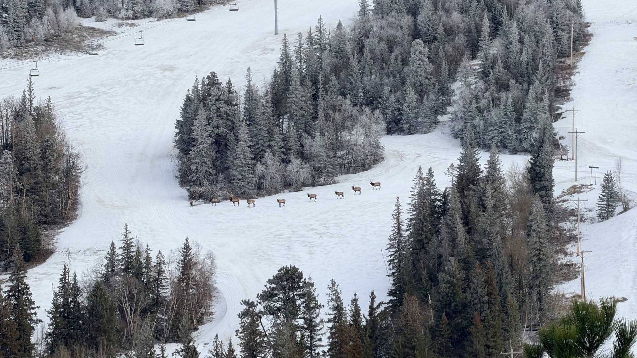 Terry Peak photo 7