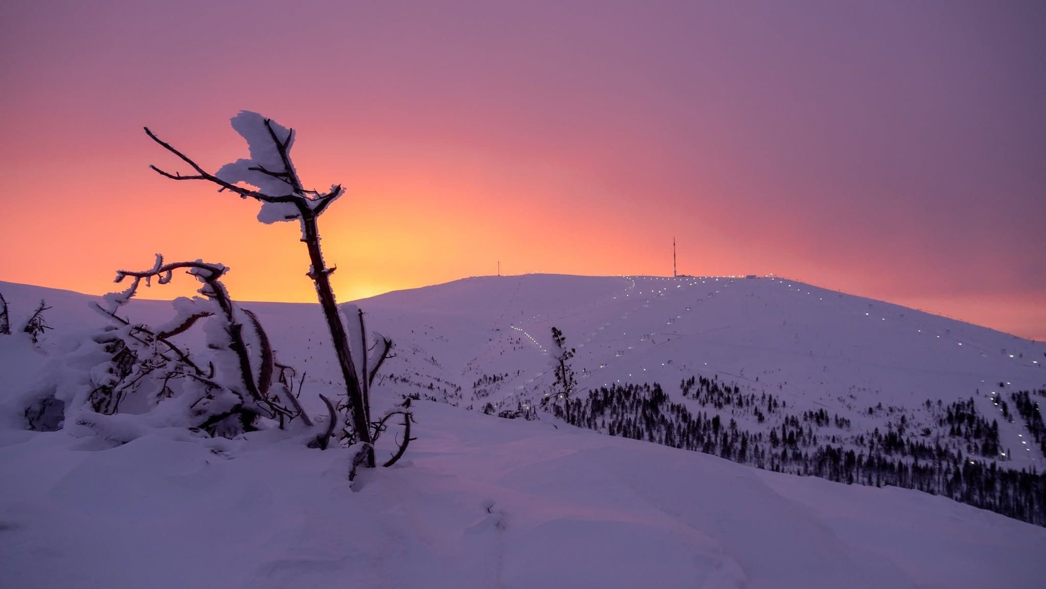 Ylläs photo 5