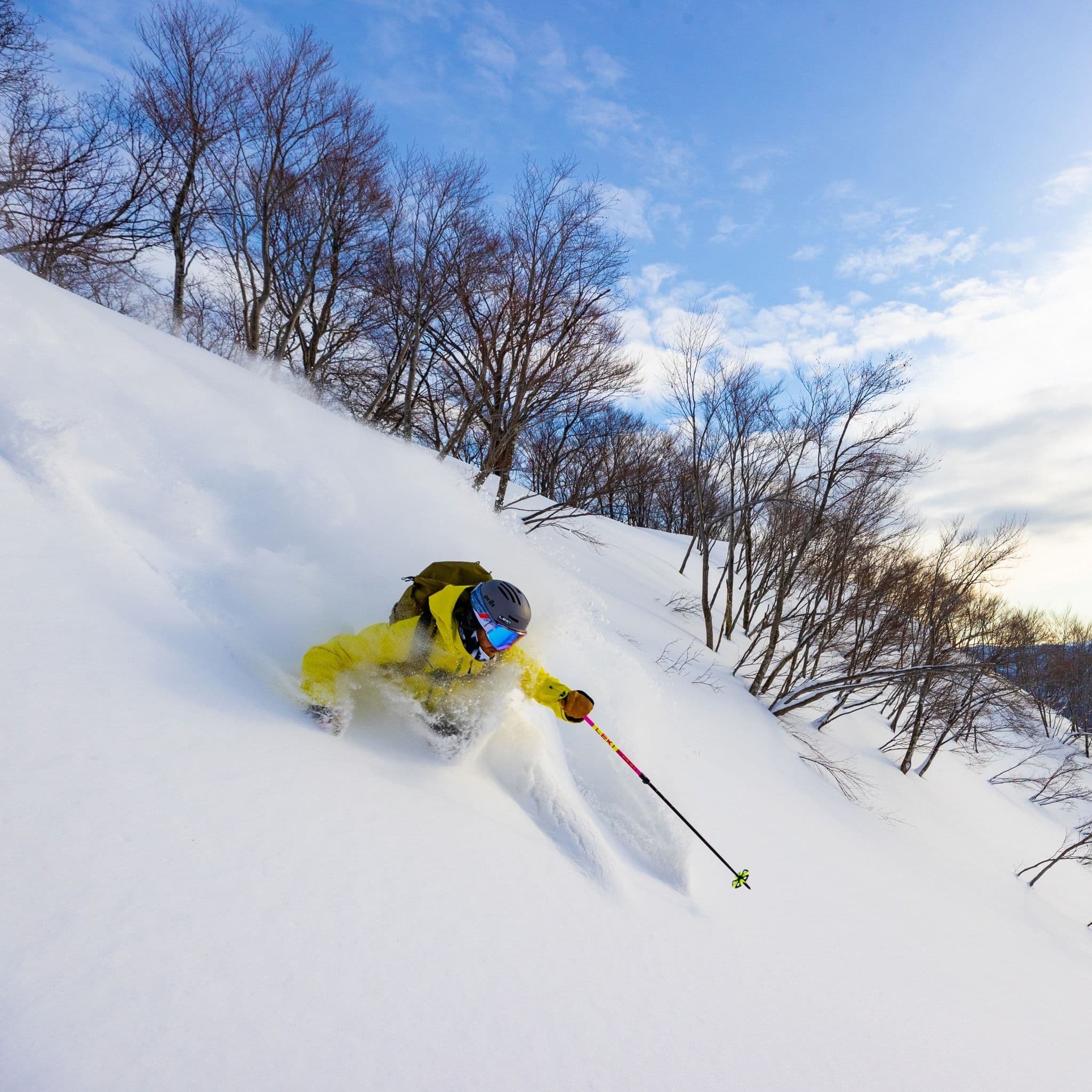 Lotte Arai ski resort - Japan