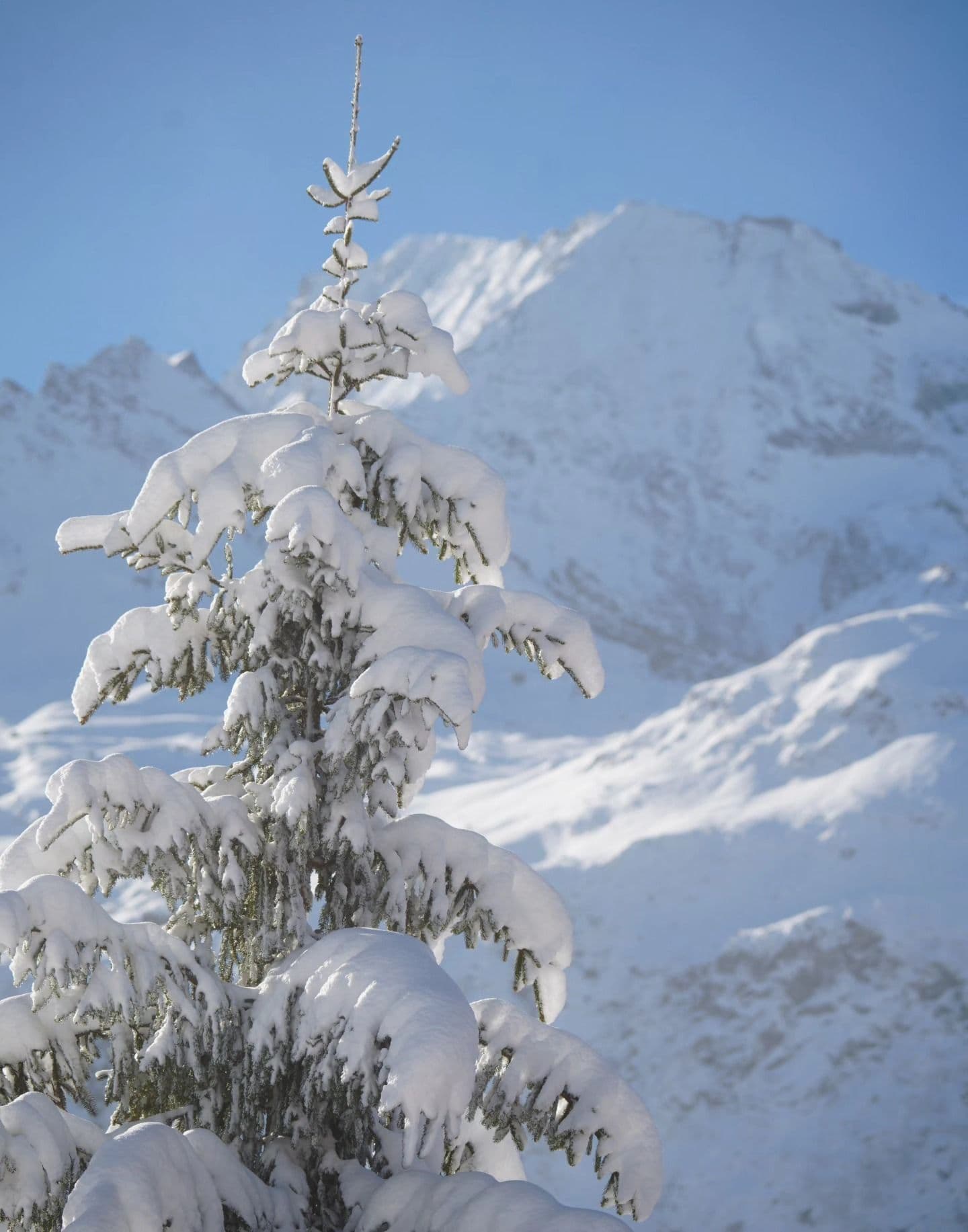 Sainte-Foy-Tarentaise photo 3