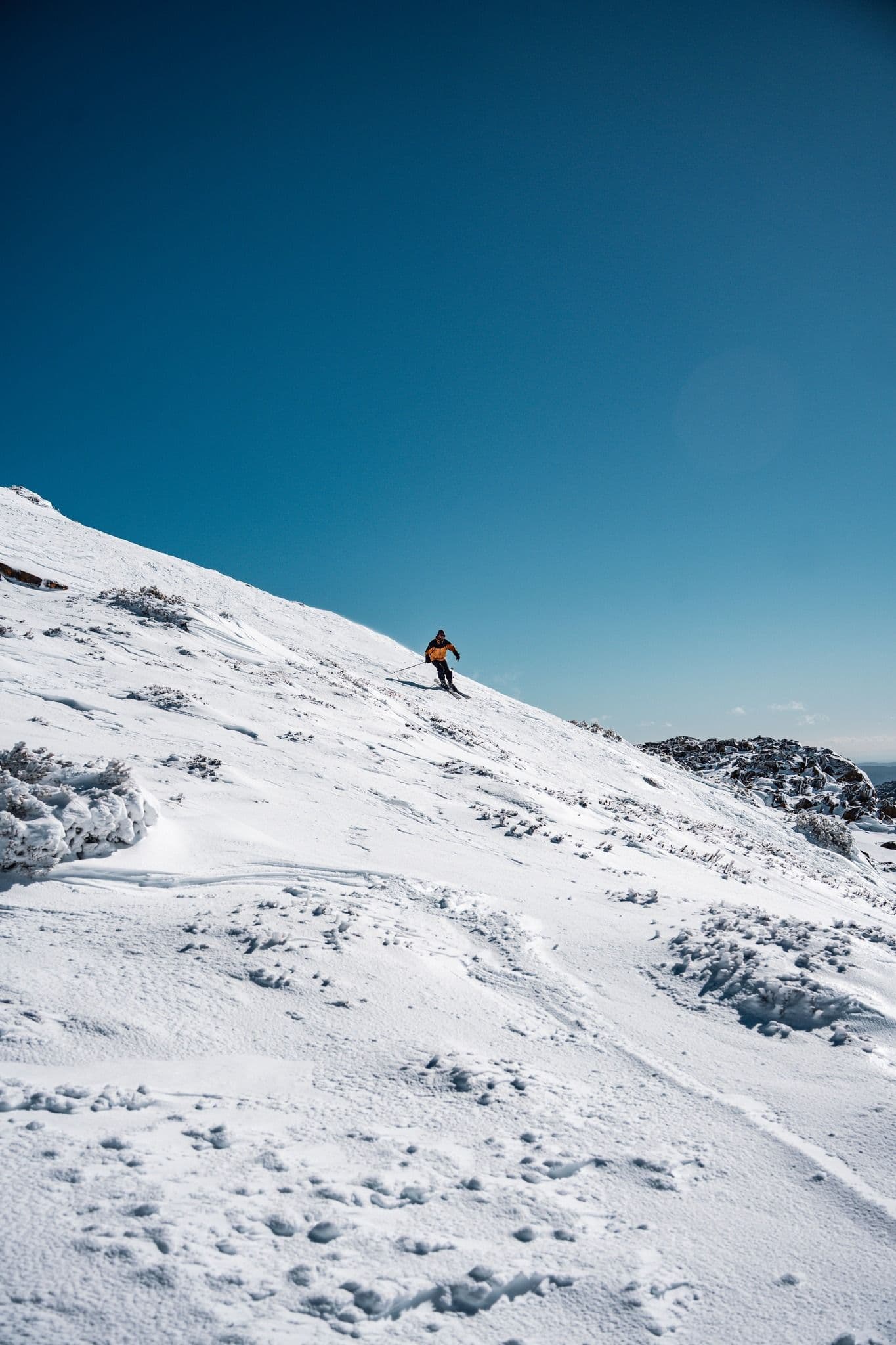 Ben Lomond photo 5