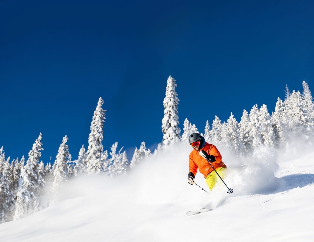 Fernie Alpine Resort ski resort - Canada