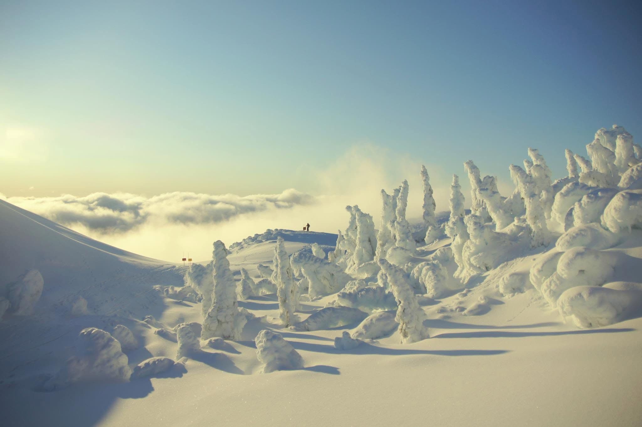 Eaglecrest Ski Area photo 8