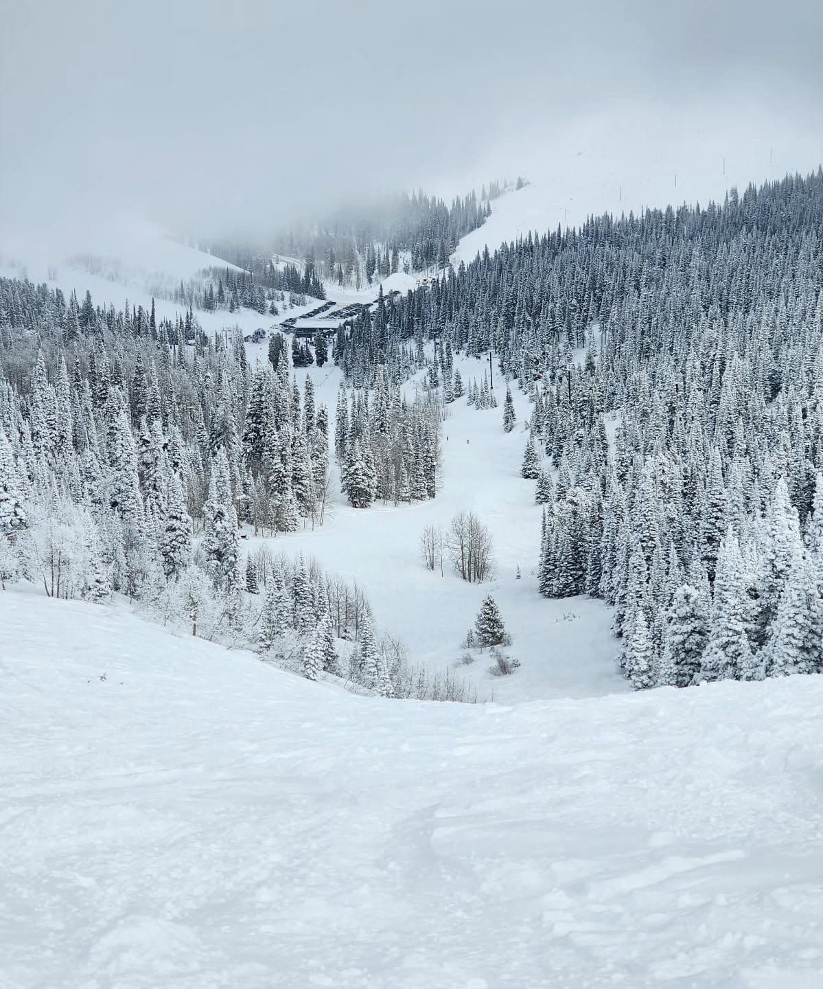 Pomerelle Mountain Resort photo 7