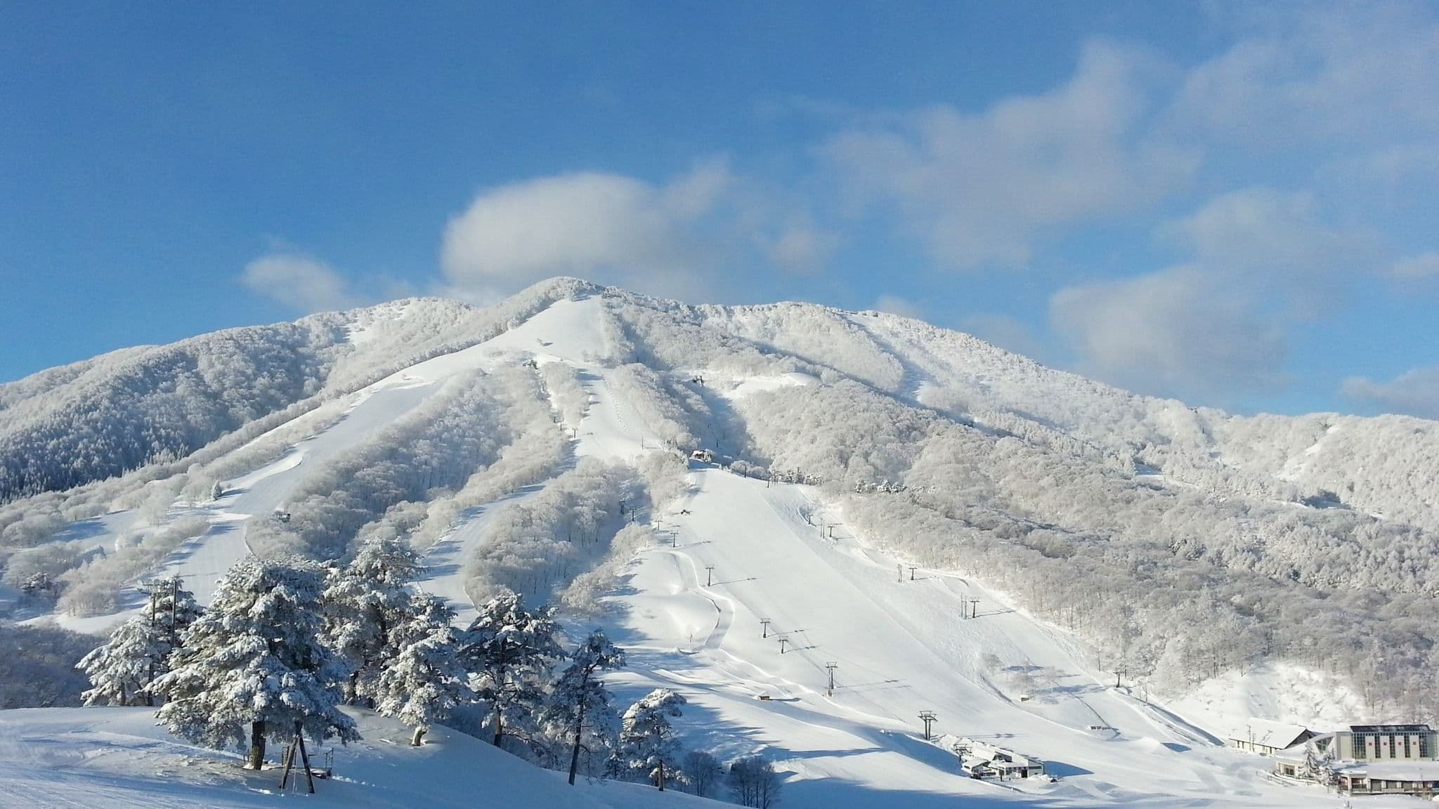 Madarao photo 2