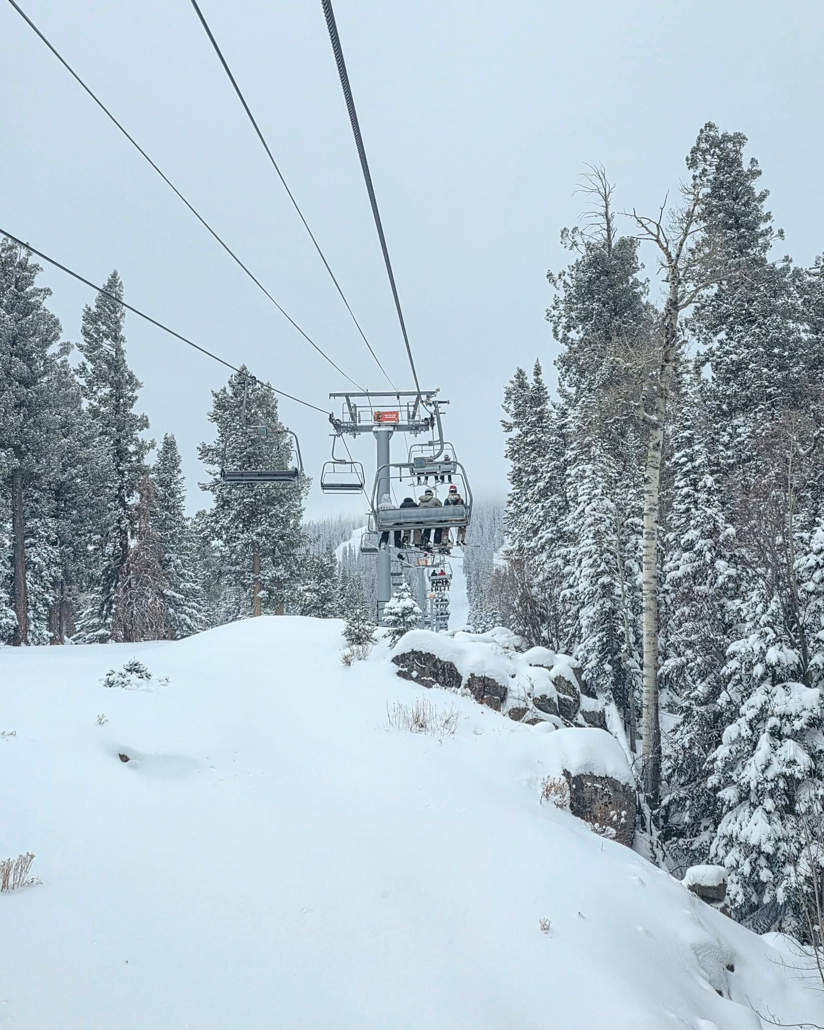 Sunrise Park Resort photo 2