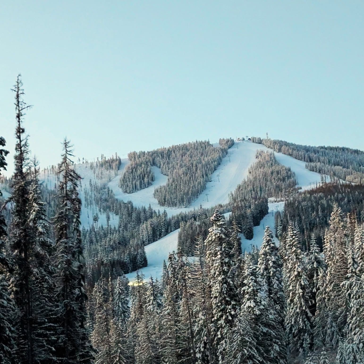 49 Degrees North photo 10