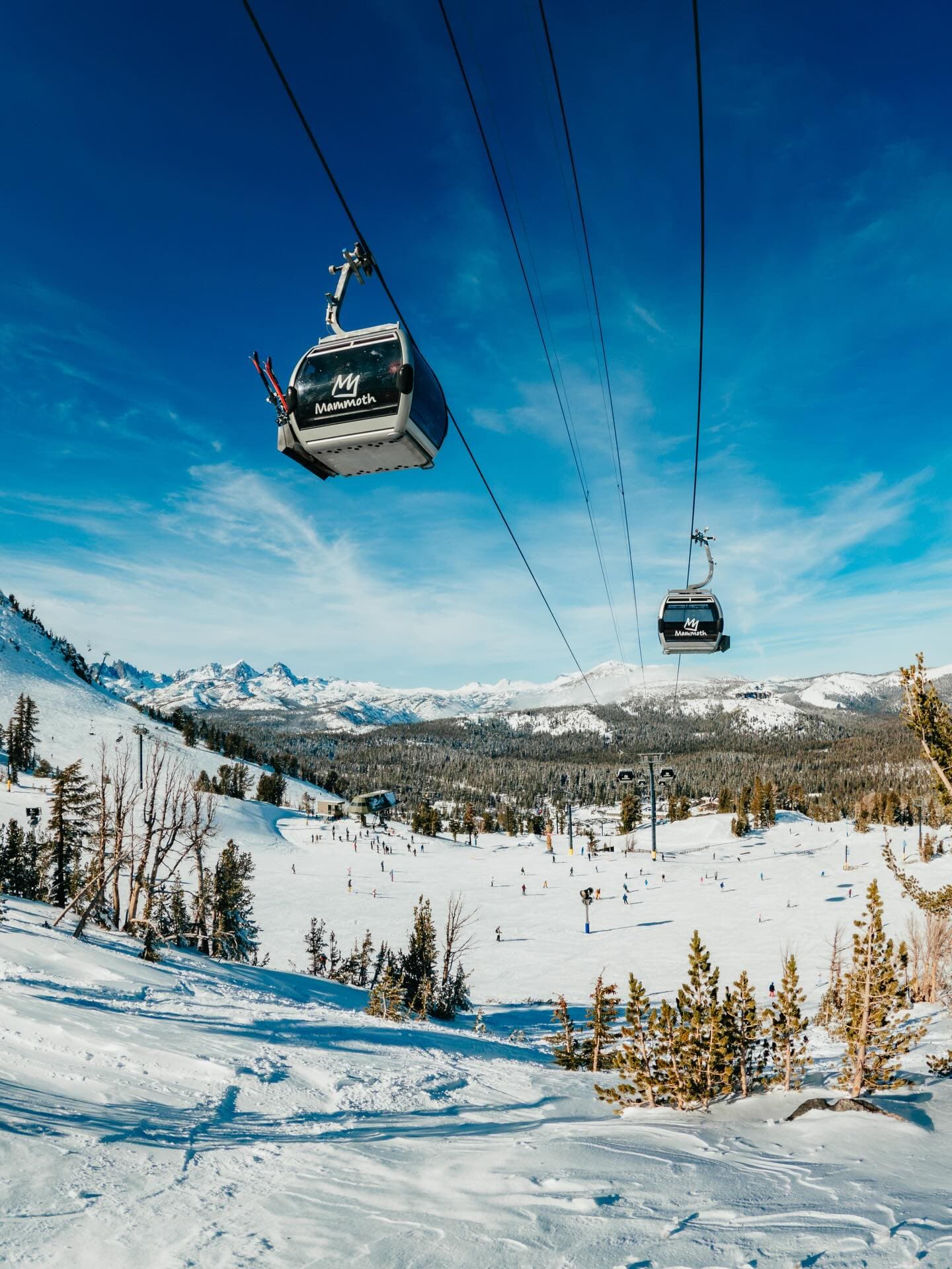 Mammoth Mountain photo 6