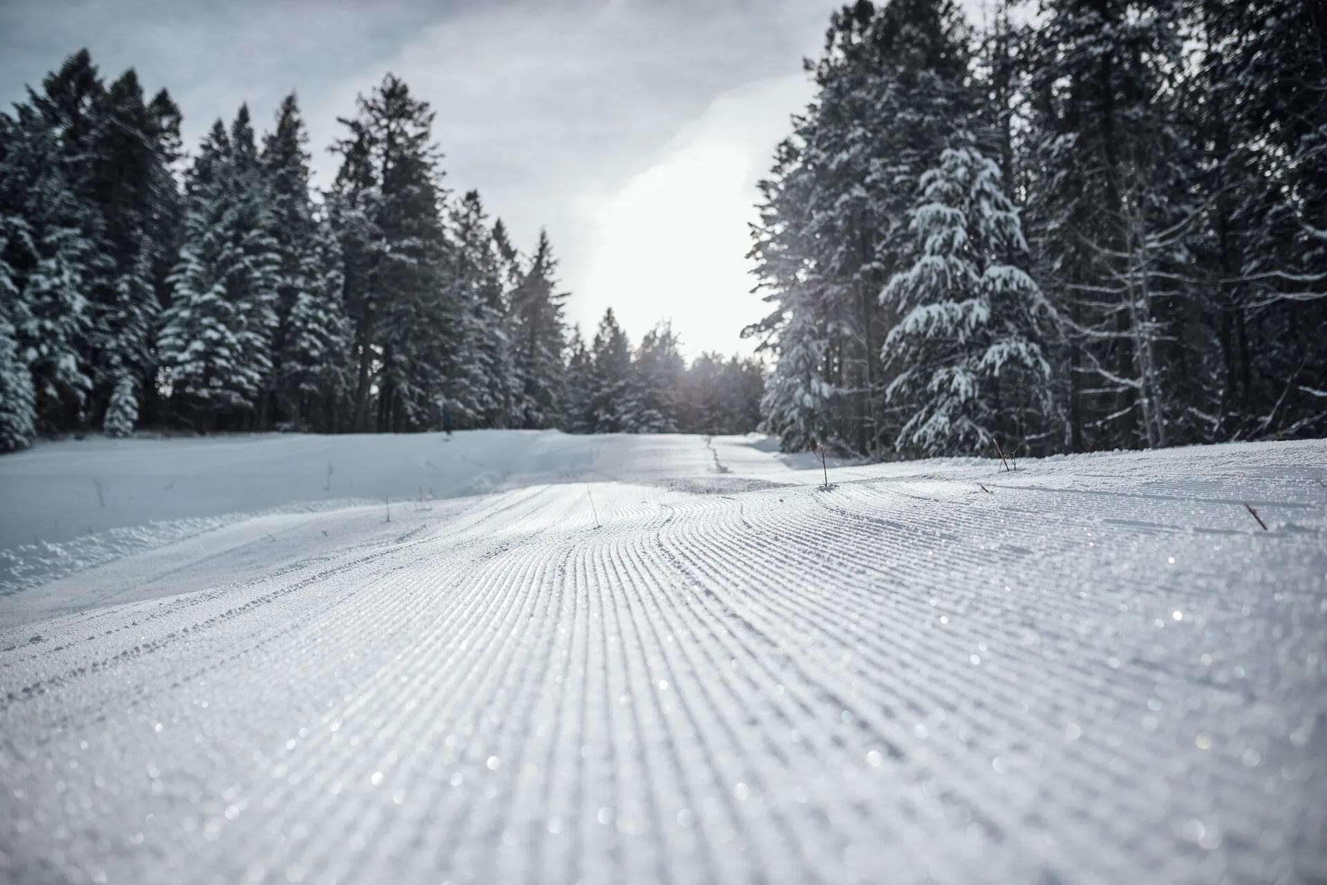 Kelly Canyon Ski Resort photo 6