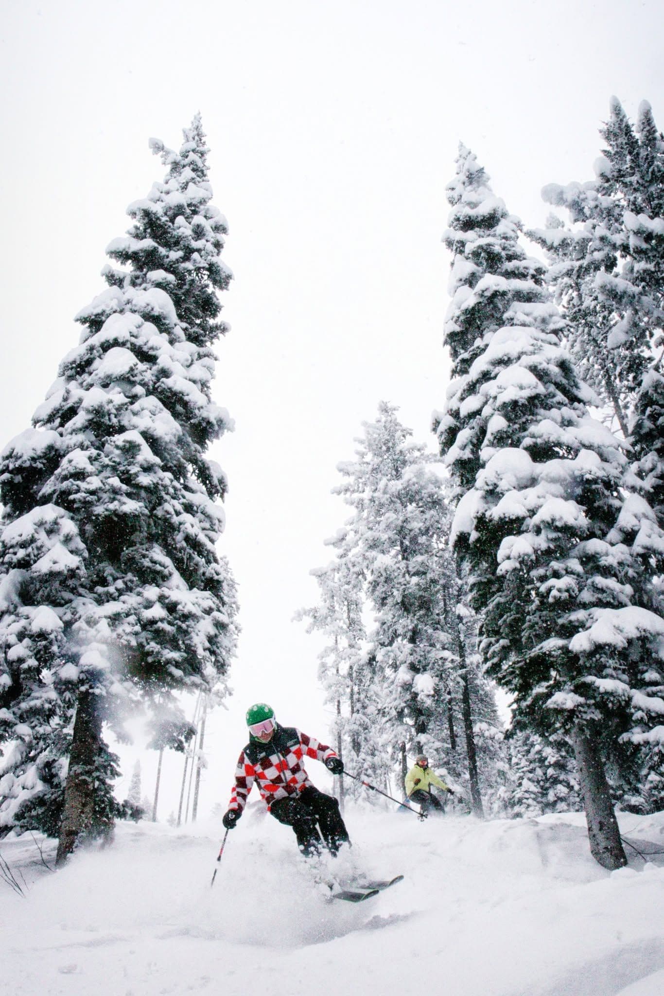 Kimberley Alpine Resort photo 2