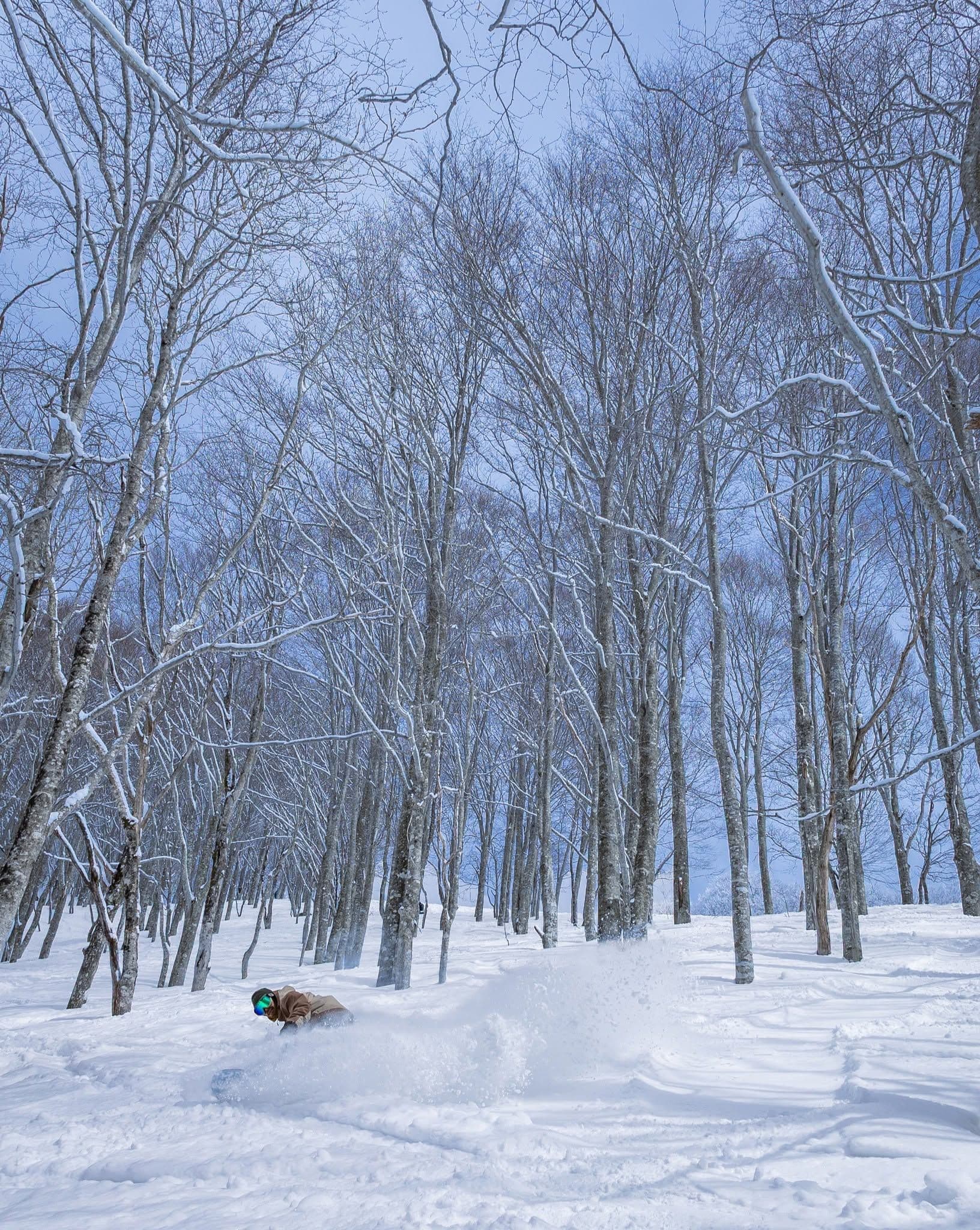 NEKOMA Mountain photo 5
