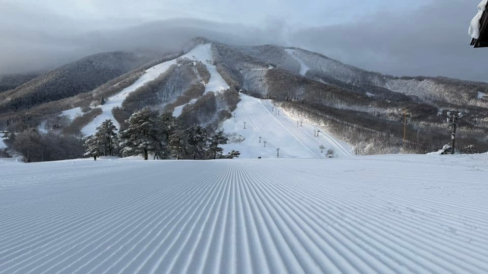Madarao photo 5