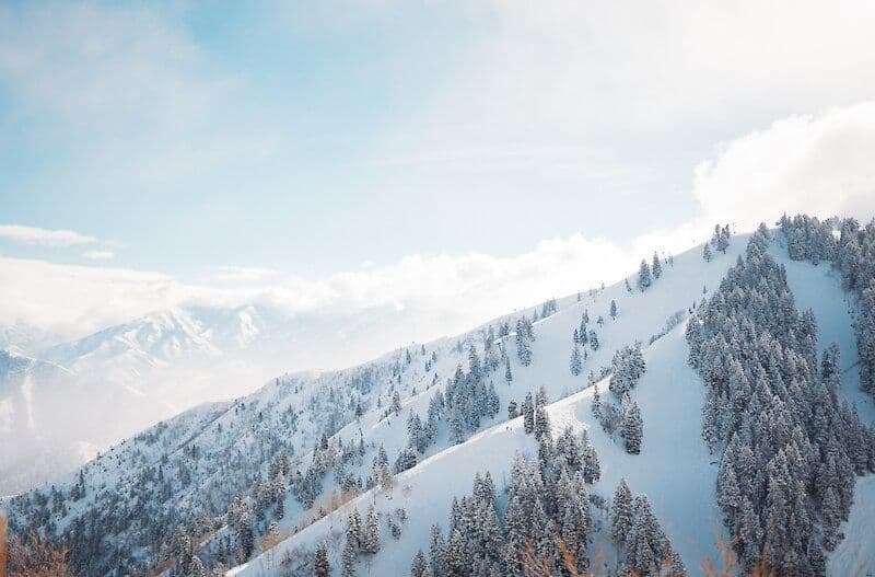 Sundance photo 3