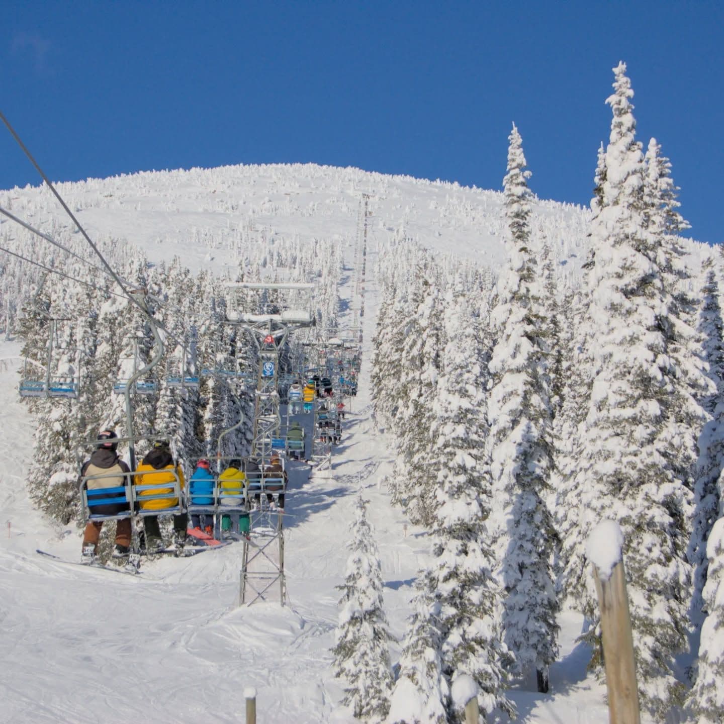 Baldy photo 8