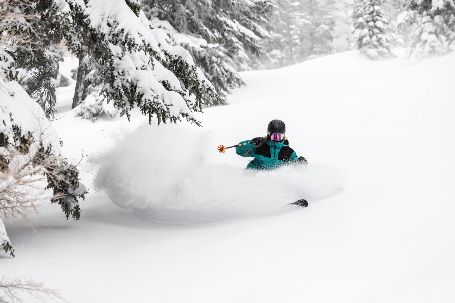 Sierra at Tahoe photo 2