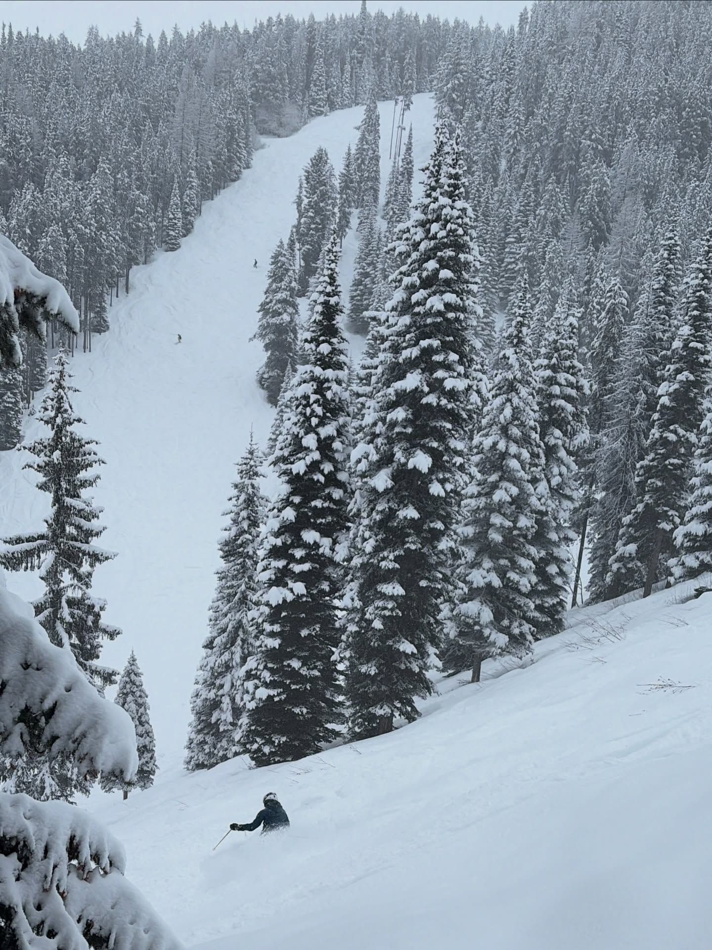 Kimberley Alpine Resort photo 6