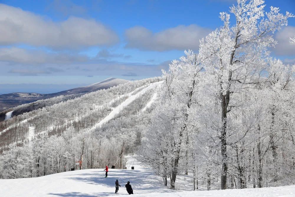 Windham Mountain Club photo 2