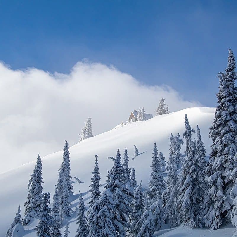 Mt Spokane Ski and Snowboard Park photo 4
