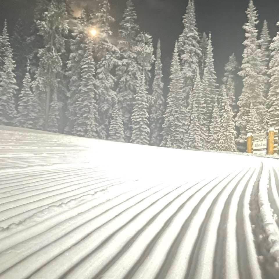 Kimberley Alpine Resort photo 9