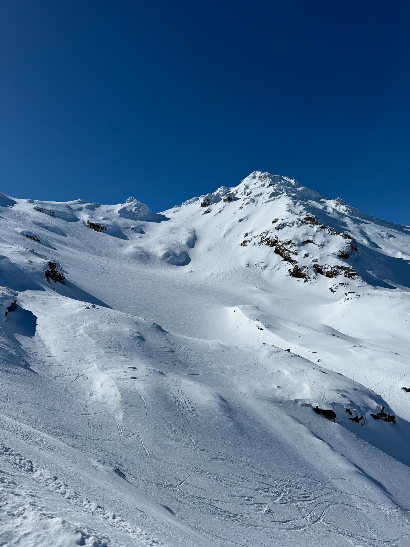 Tūroa photo 3