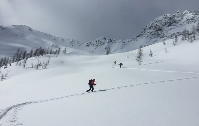 Kimberley Alpine Resort photo 7