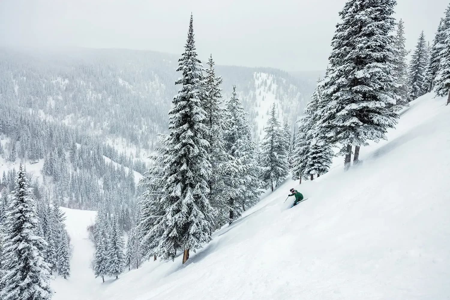 SilverStar photo 11