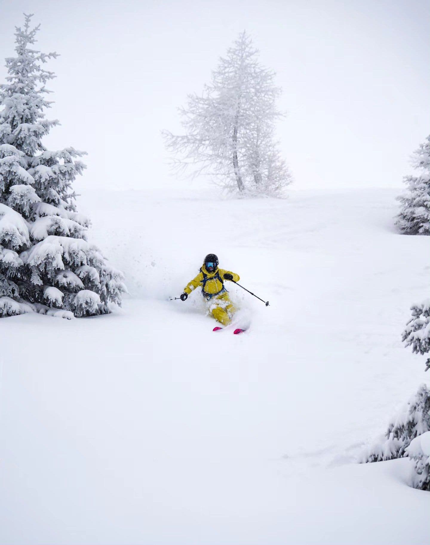Sainte-Foy-Tarentaise photo 5