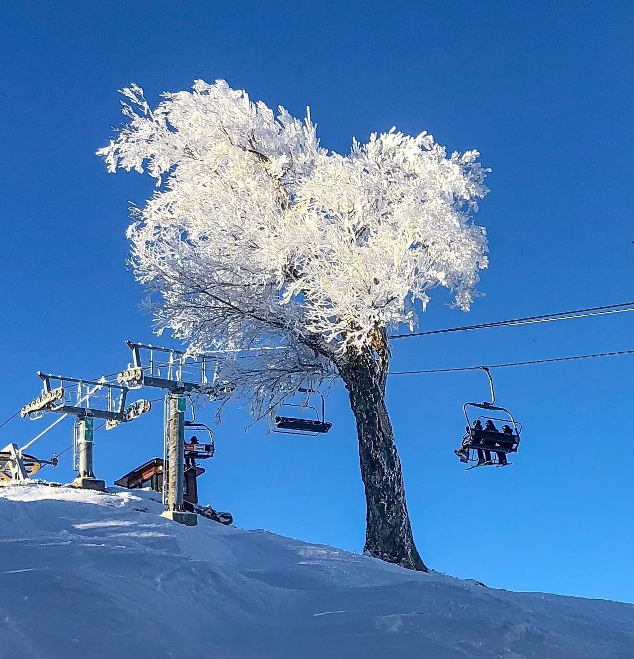 Ski La Reserve photo 6