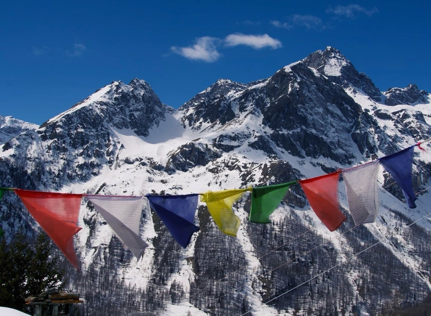 Monterosa Ski photo 13