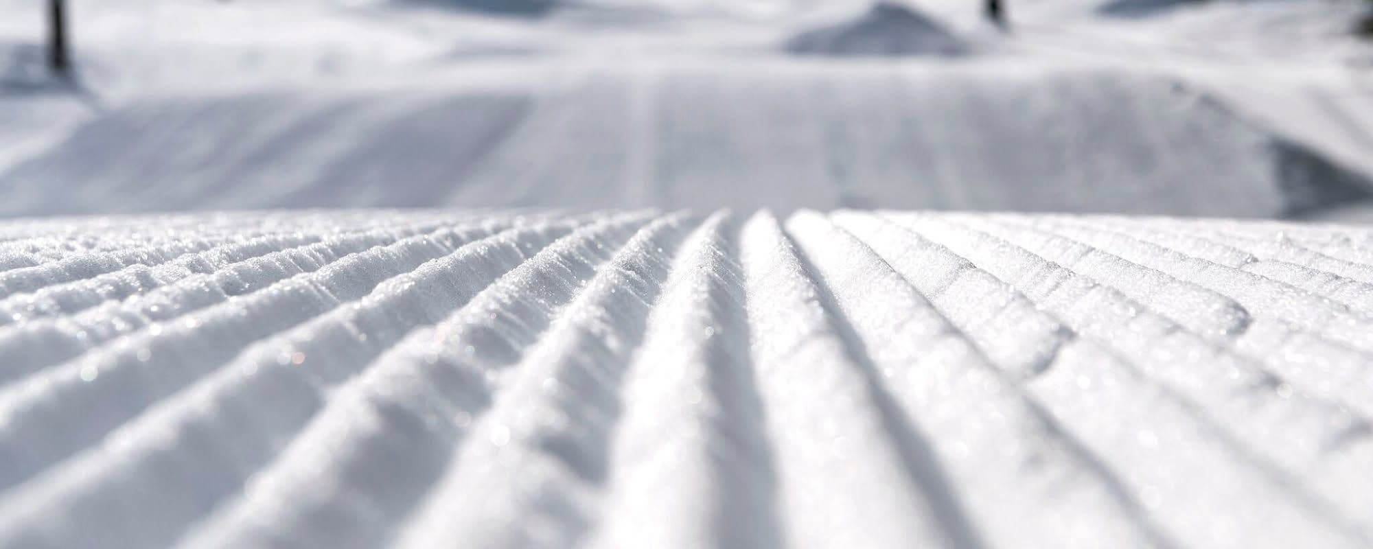 Boreal Mountain Resort photo 6