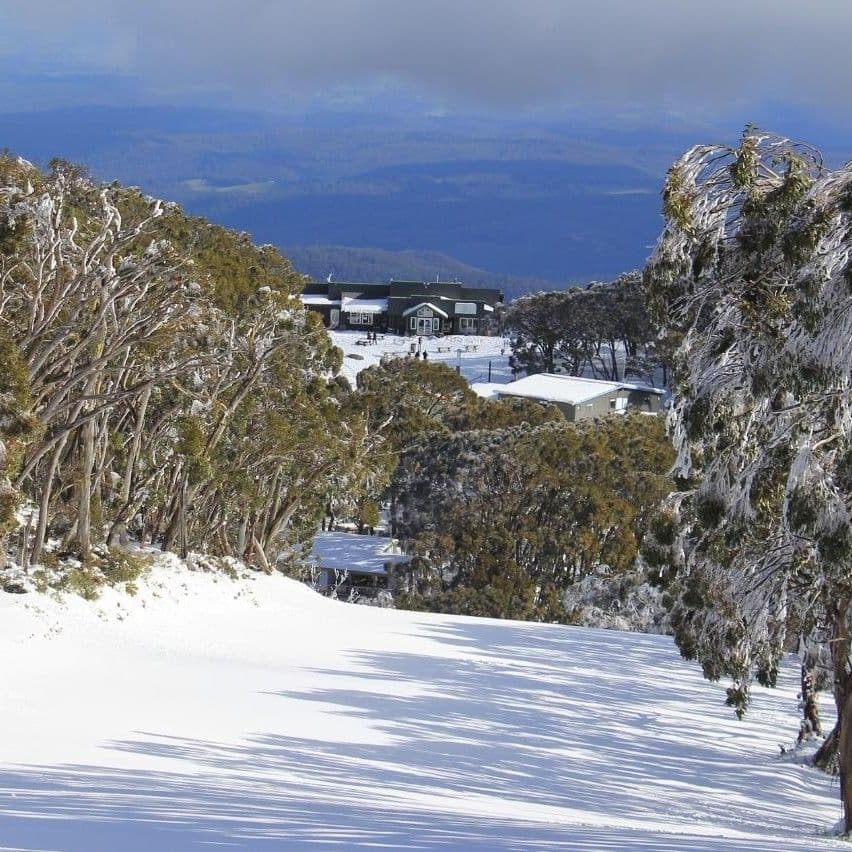 Mt Baw Baw photo 4