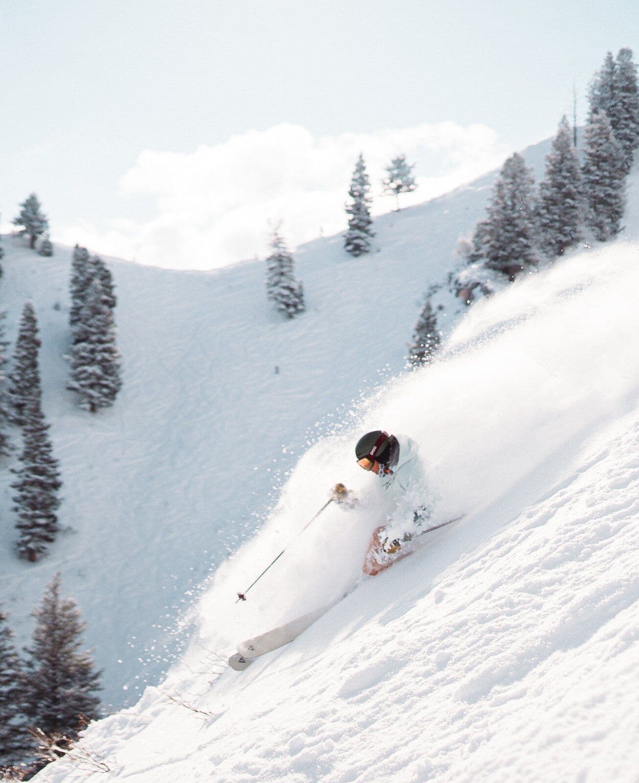 Sundance photo 4