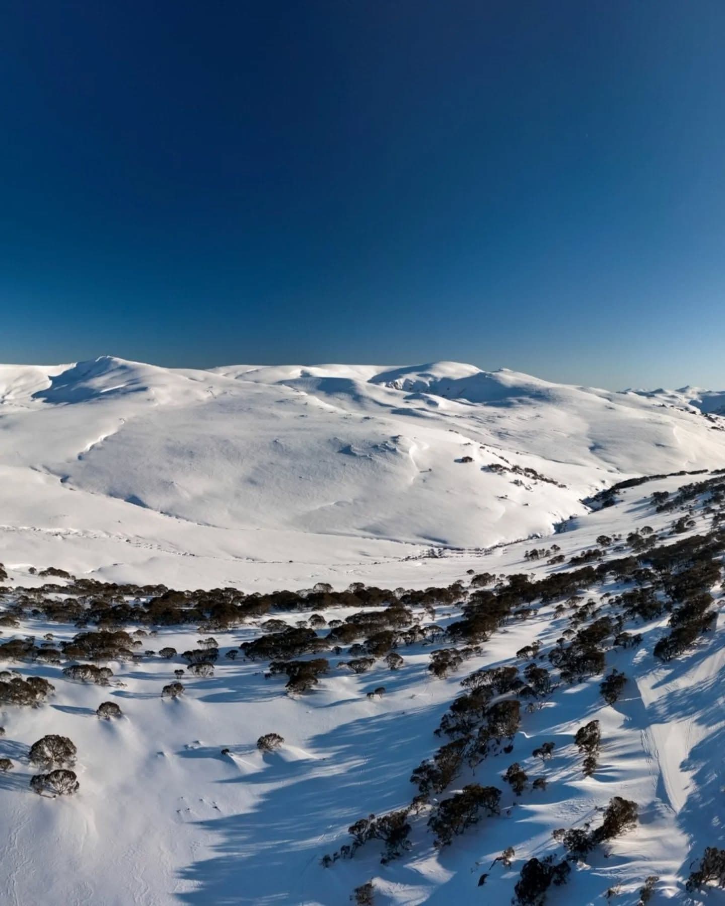 Charlotte Pass photo 10