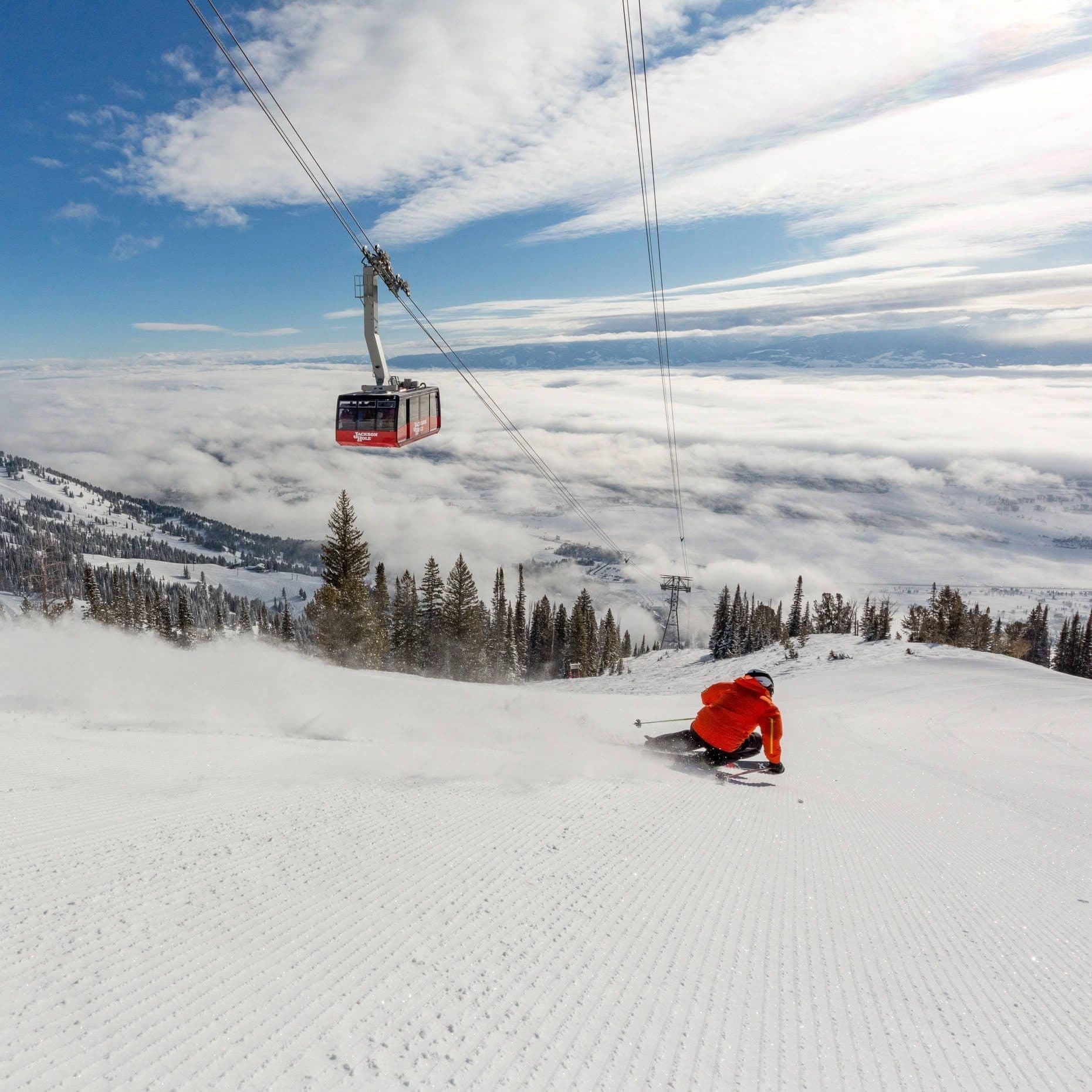 Jackson Hole Mountain Resort photo 10