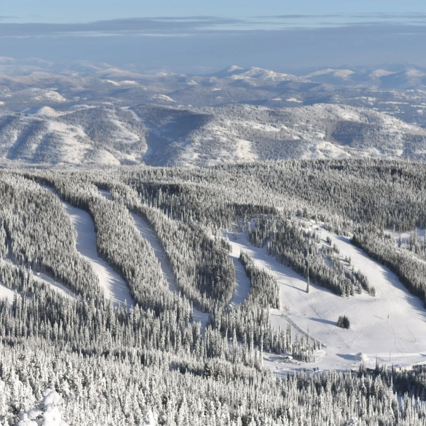 Baldy photo 5